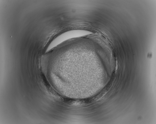 X0000090600504200708141334