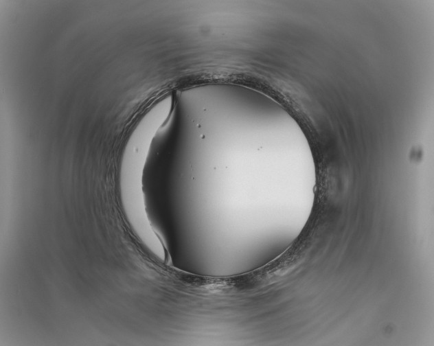 X0000090600505200708141334