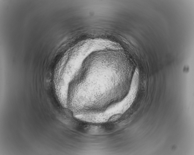 X0000090600507200708141334