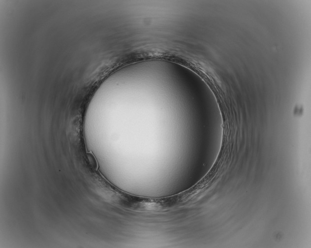 X0000090600509200708141334