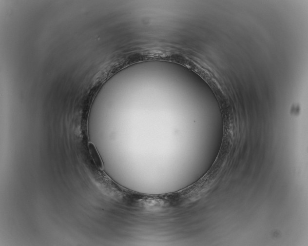 X0000090600512200708141333