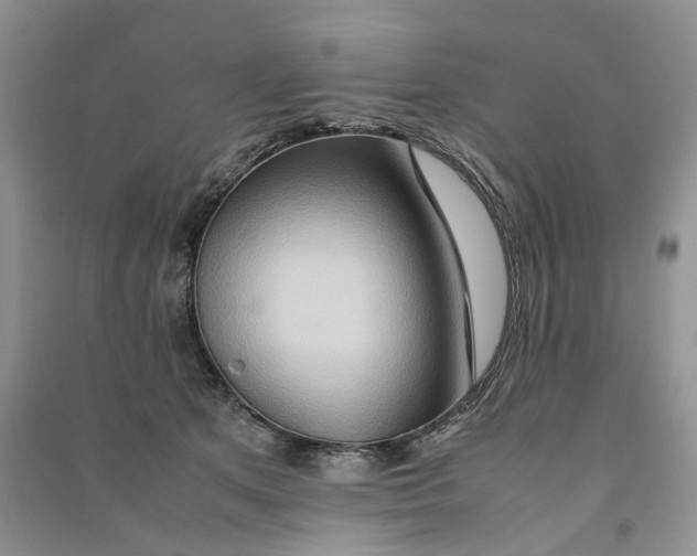 X0000090600513200708141333