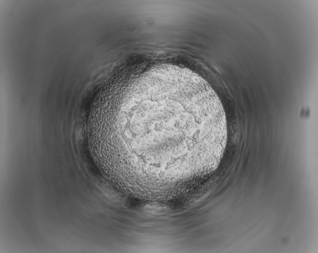 X0000090600515200708141333