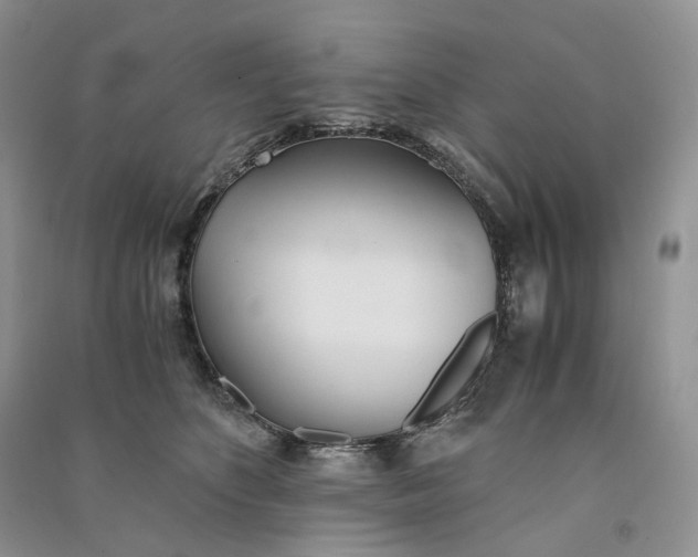 X0000090600516200708141333