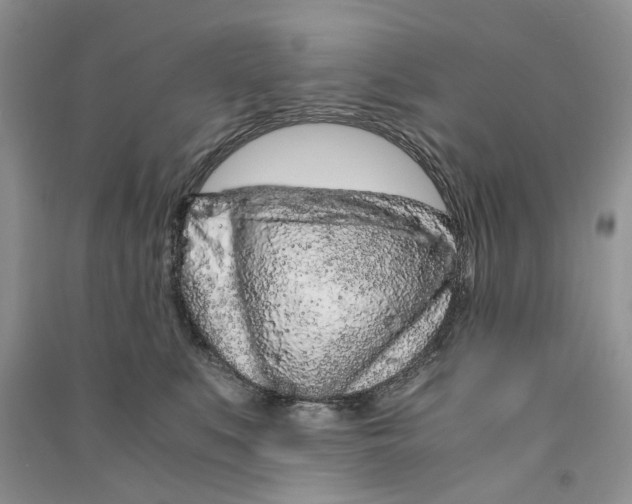 X0000090600519200708141333