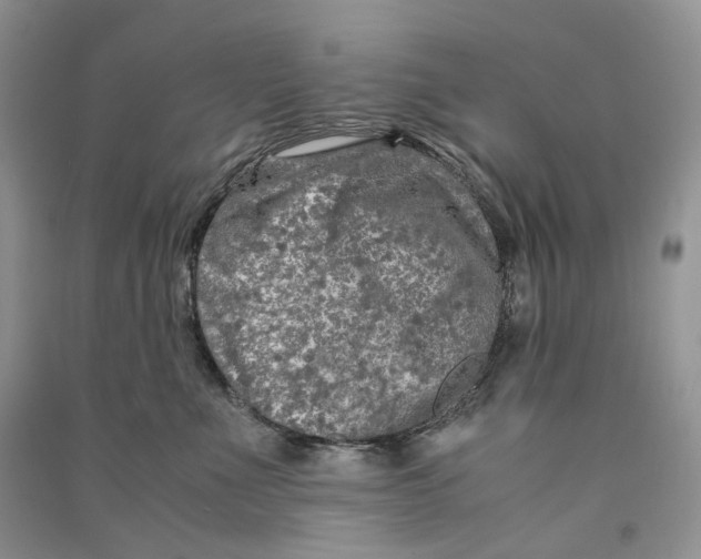 X0000090600523200708141333