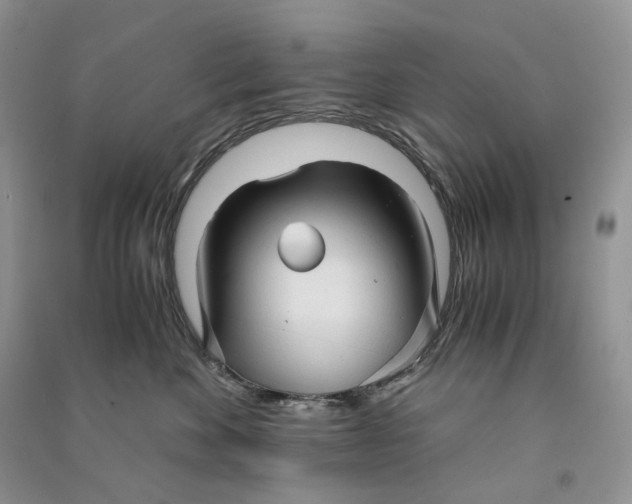 X0000090600524200708141333