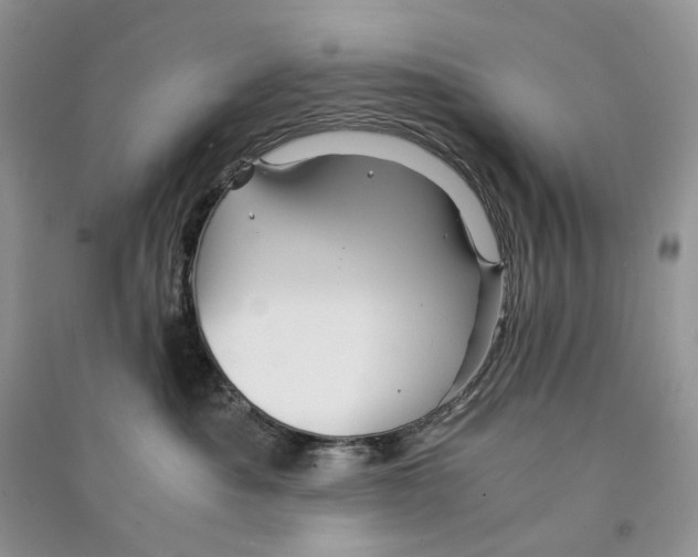 X0000090600525200708141333