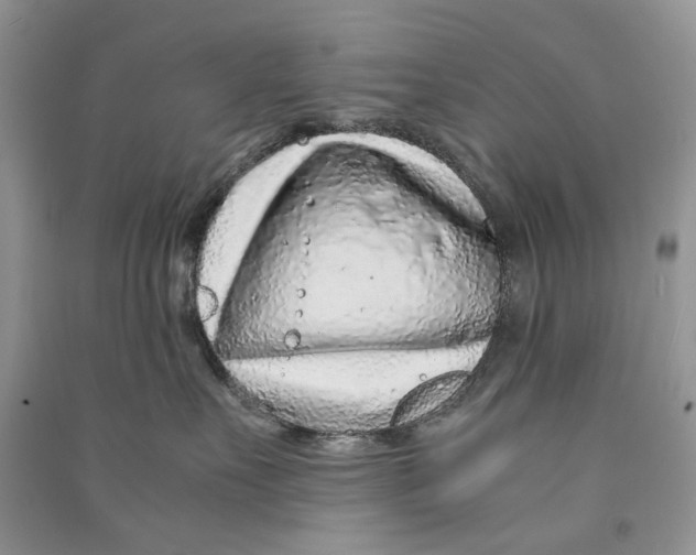 X0000090600527200708141333