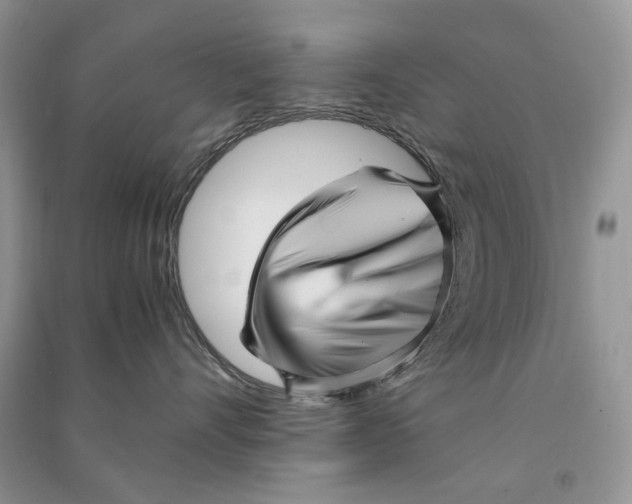 X0000090600528200708141333