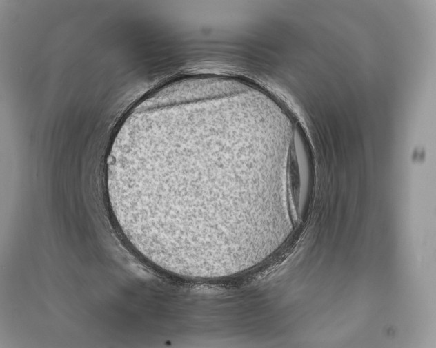 X0000090600529200708141333