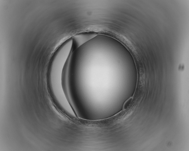 X0000090600530200708141333