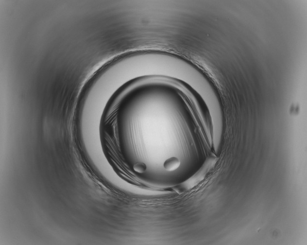 X0000090600532200708141333