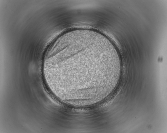 X0000090600533200708141333