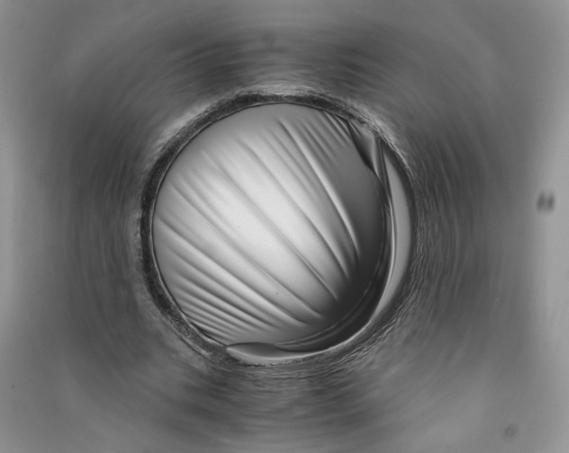 X0000090600535200708141333