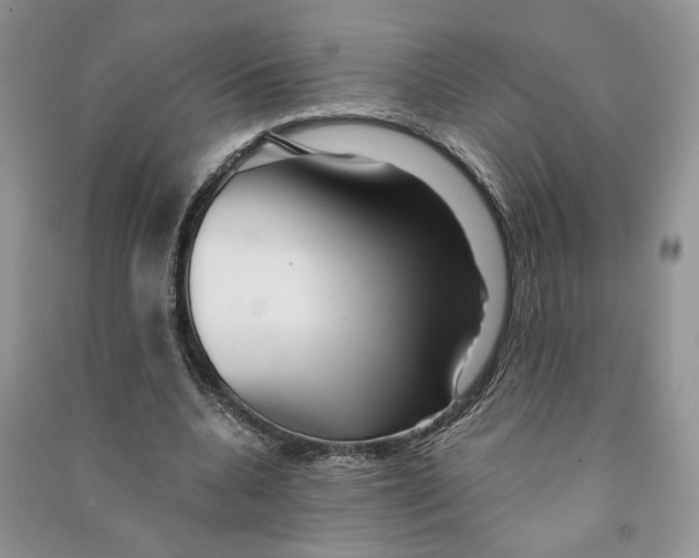 X0000090600536200708141333