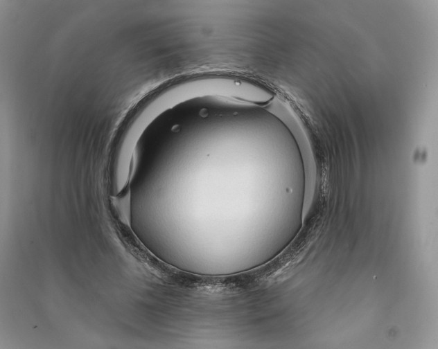 X0000090600540200708141333