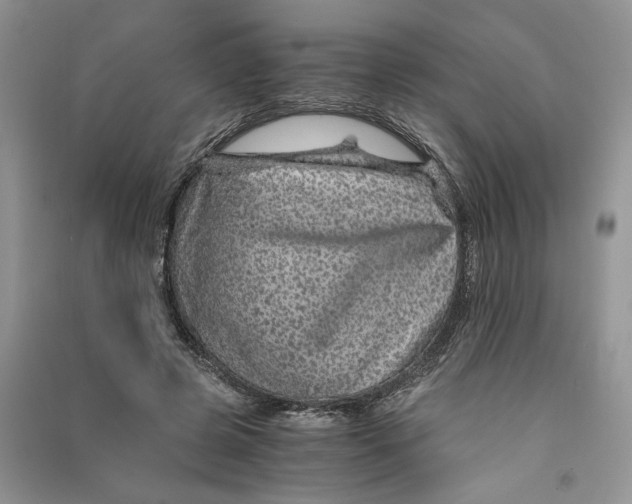 X0000090600545200708141333