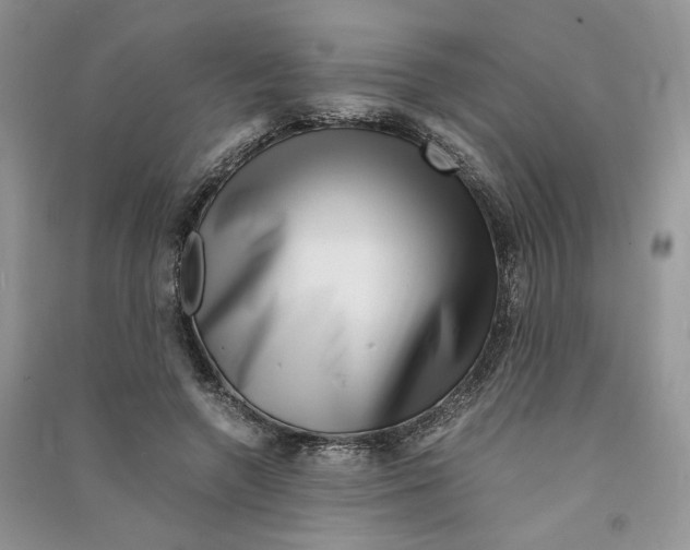 X0000090600546200708141333