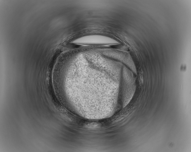 X0000090600551200708141333