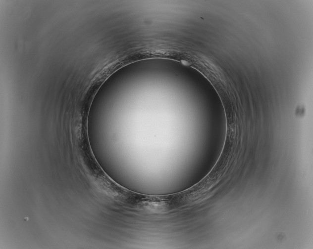 X0000090600552200708141333