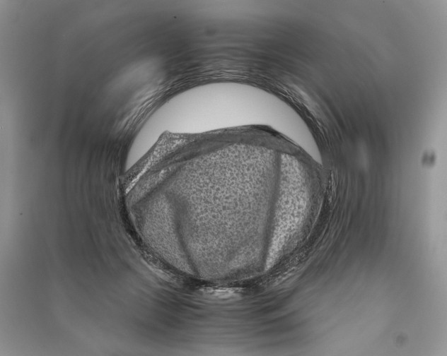 X0000090600553200708141333