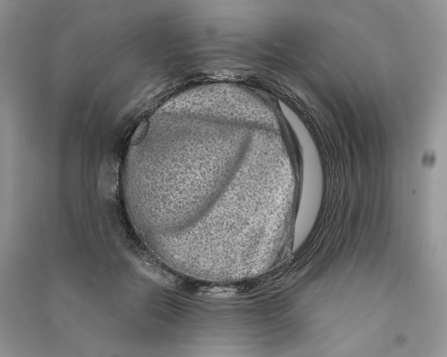 X0000090600554200708141333