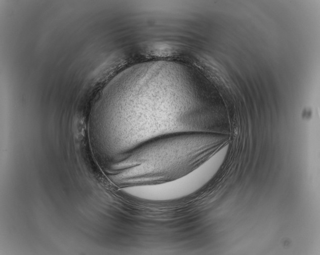 X0000090600555200708141333