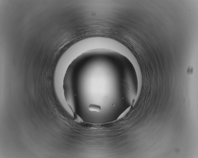 X0000090600556200708141333