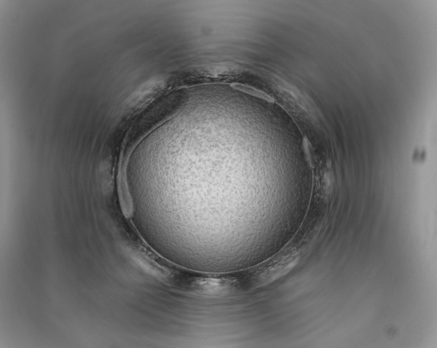 X0000090600558200708141333