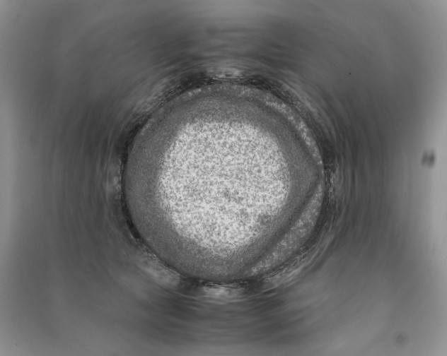 X0000090600561200708141333