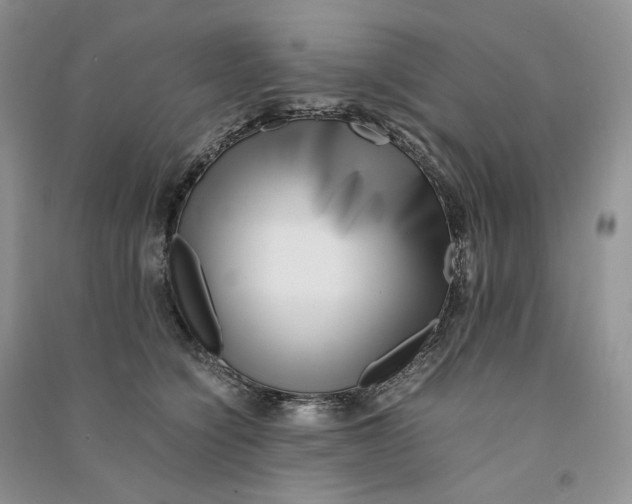 X0000090600564200708141333