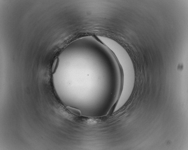 X0000090600566200708141333