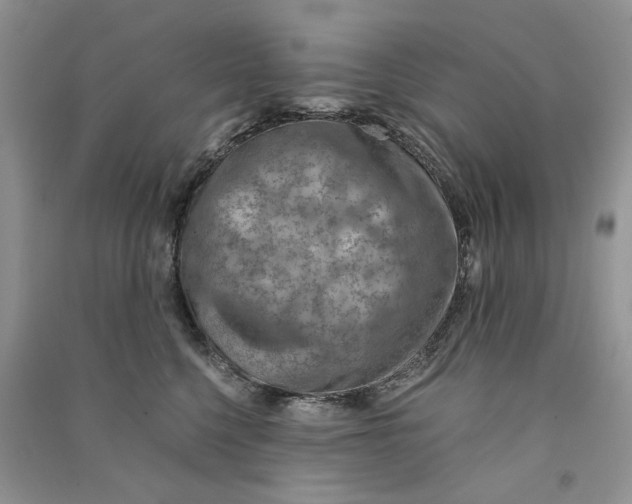 X0000090600568200708141333