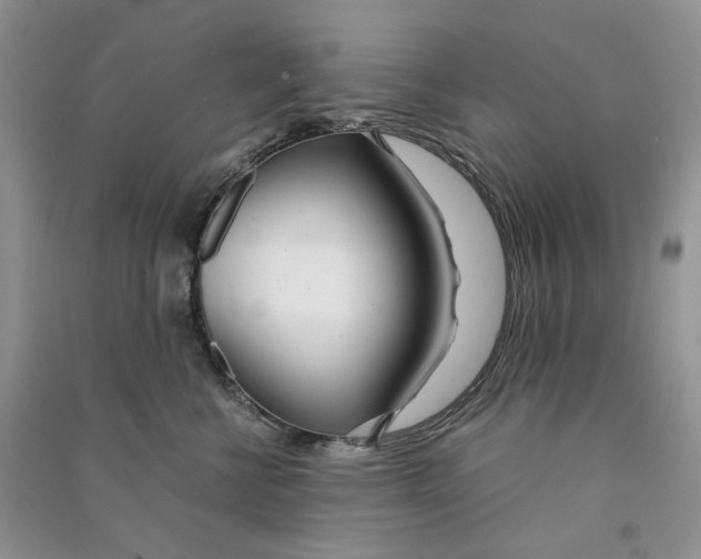 X0000090600570200708141333