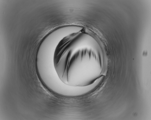 X0000090600577200708141333