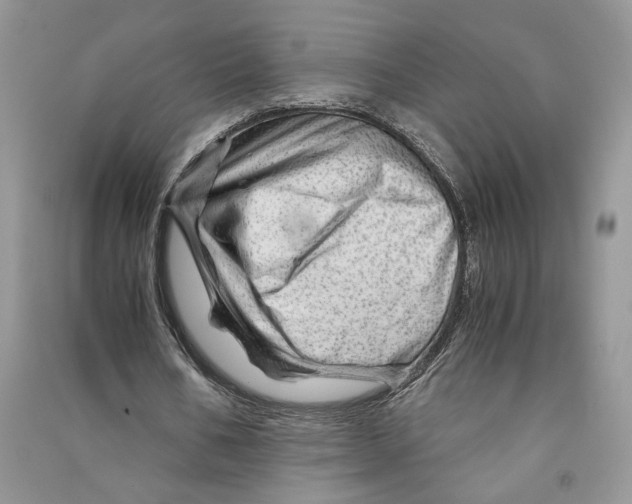 X0000090600578200708141333