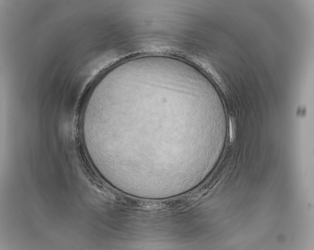 X0000090600579200708141333