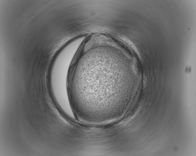 X0000090600581200708141333