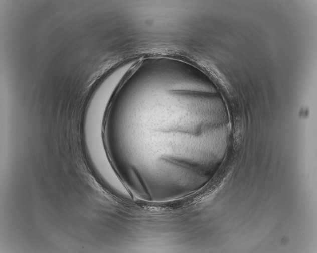 X0000090600585200708141332