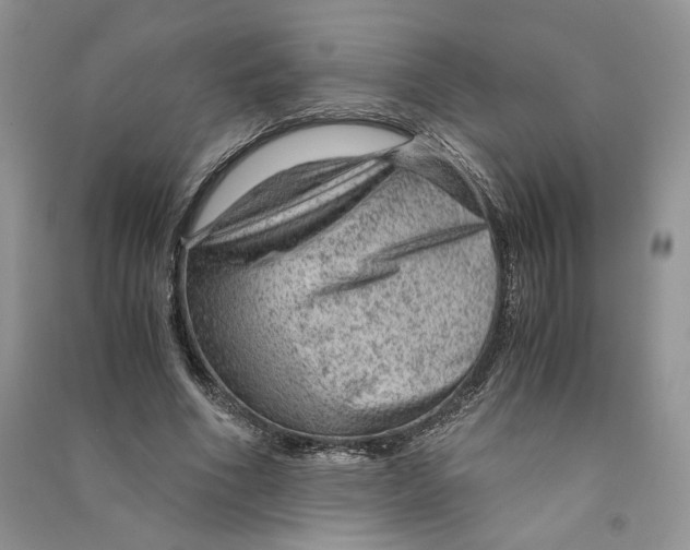 X0000090600586200708141332