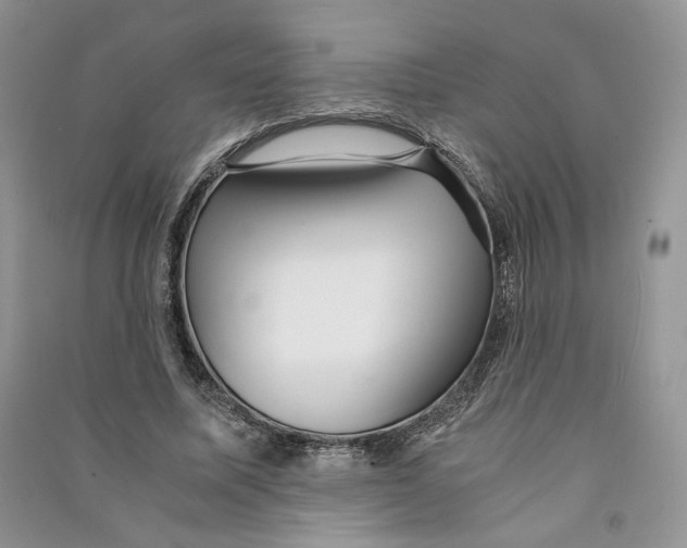 X0000090600587200708141332