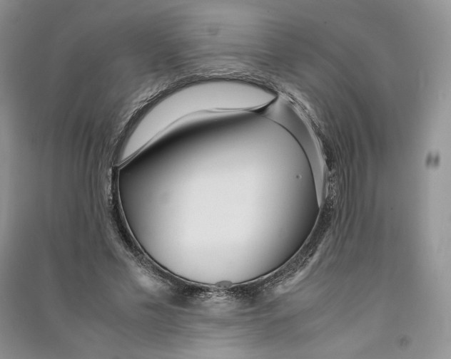 X0000090600589200708141332