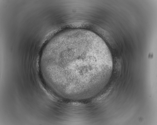 X0000090600590200708141332