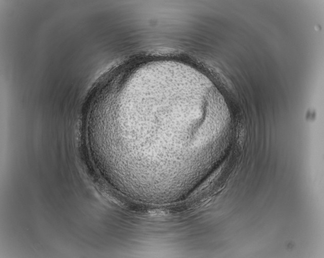 X0000090600591200708141332