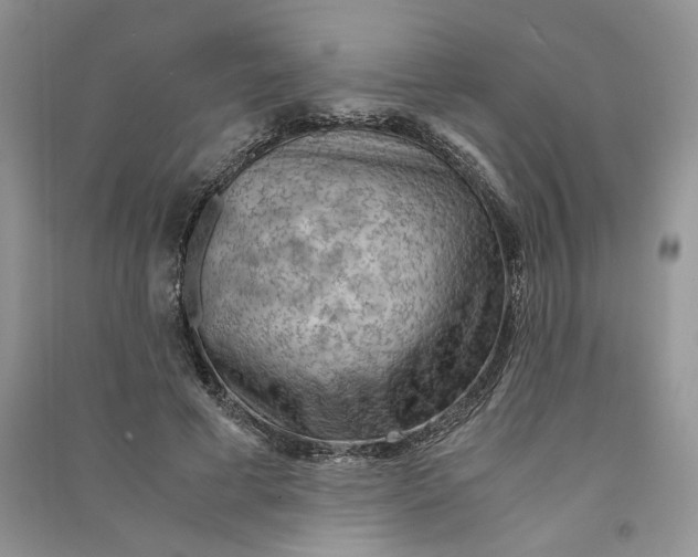 X0000090600593200708141332