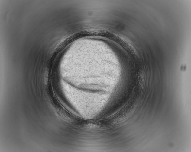 X0000090600596200708141332