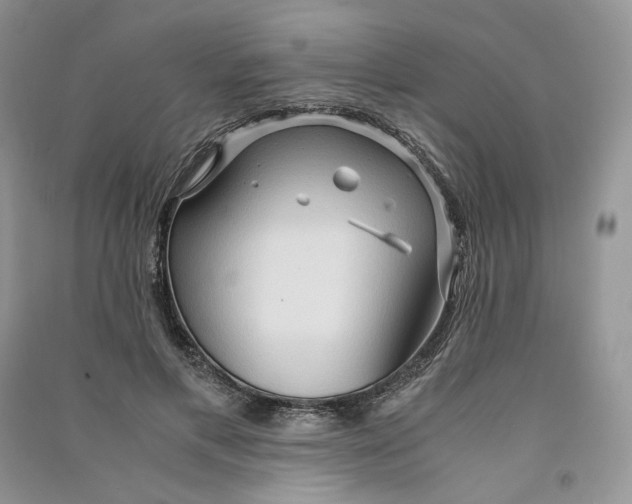 X0000090600597200708141332