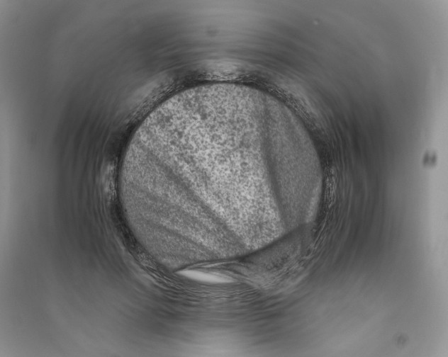 X0000090600598200708141332