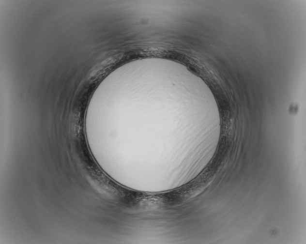 X0000090600599200708141332